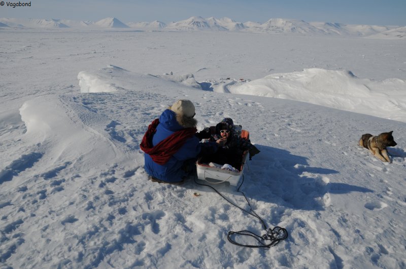 240 Pique-nique sur iceberg