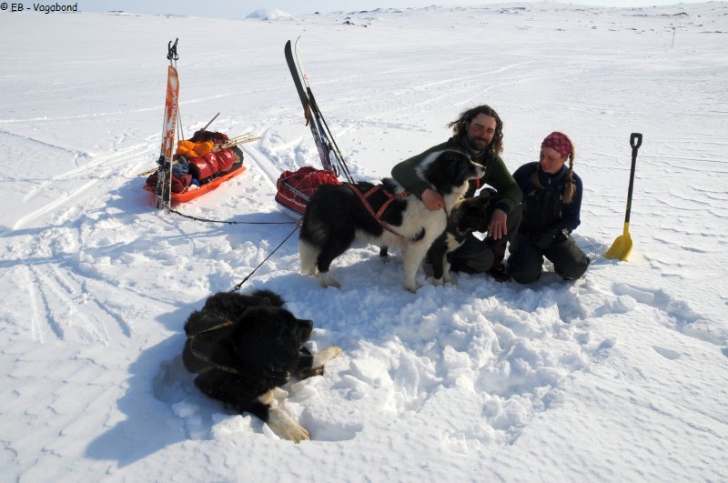 272 Elin Seb et leurs chiens