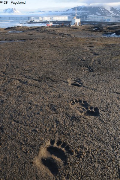 345 Traces d un curieux