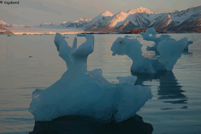 103 Acteurs de glace
