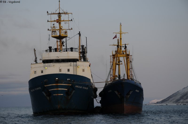 008 Rencontre en mer