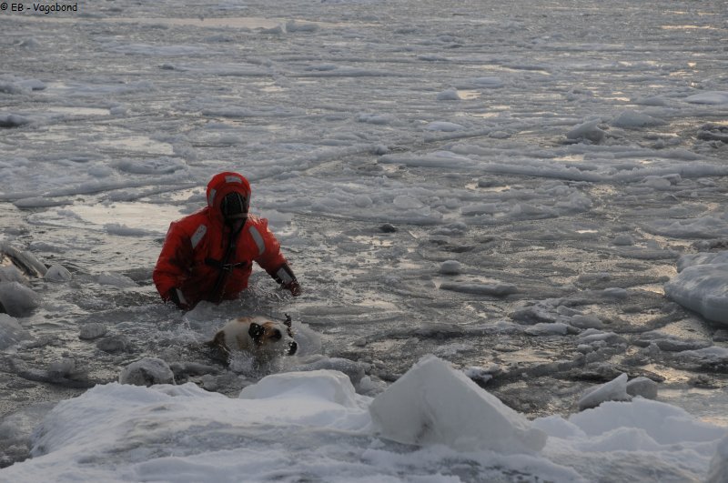 020 Glace fragile le long de la berge