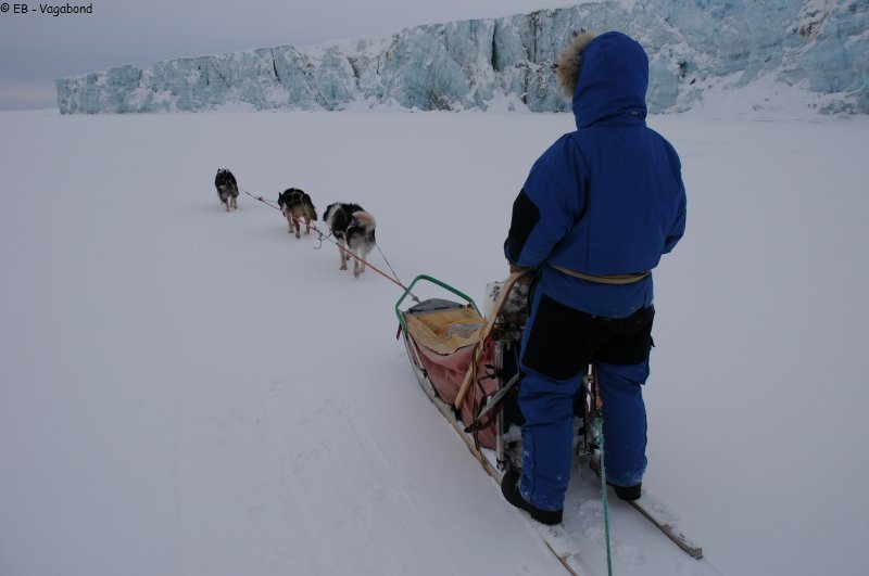 185 En traineau au glacier