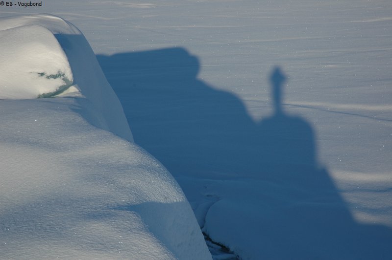 207 Un photographe sur un iceberg
