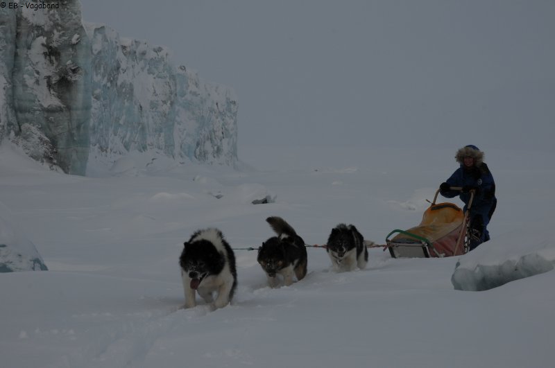 231 Traineau glacier