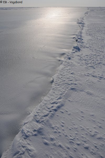 303 Nouvelle glace