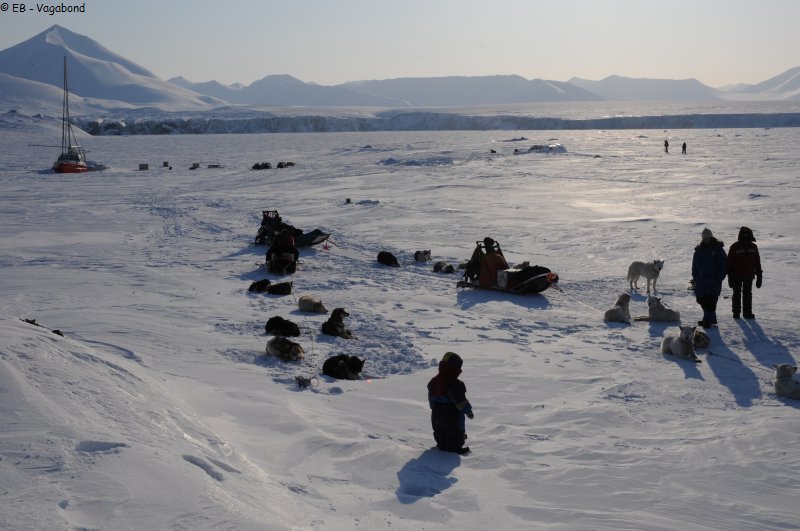 307 5 pers et 41 chiens de passage