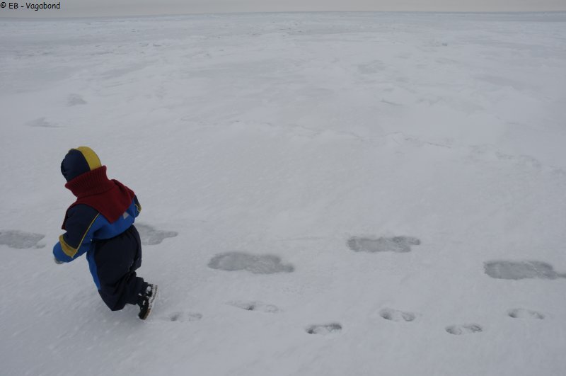 352 Leonie suit traces d ours