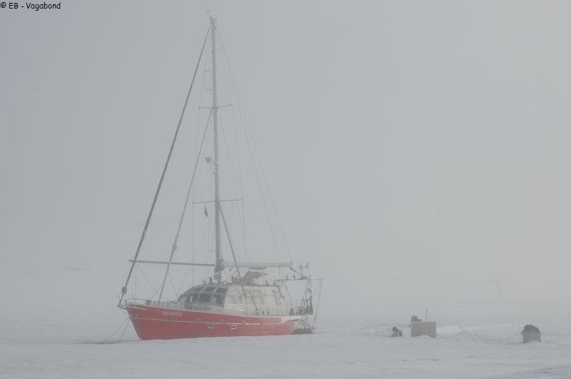 425 Vagabond dans la brume