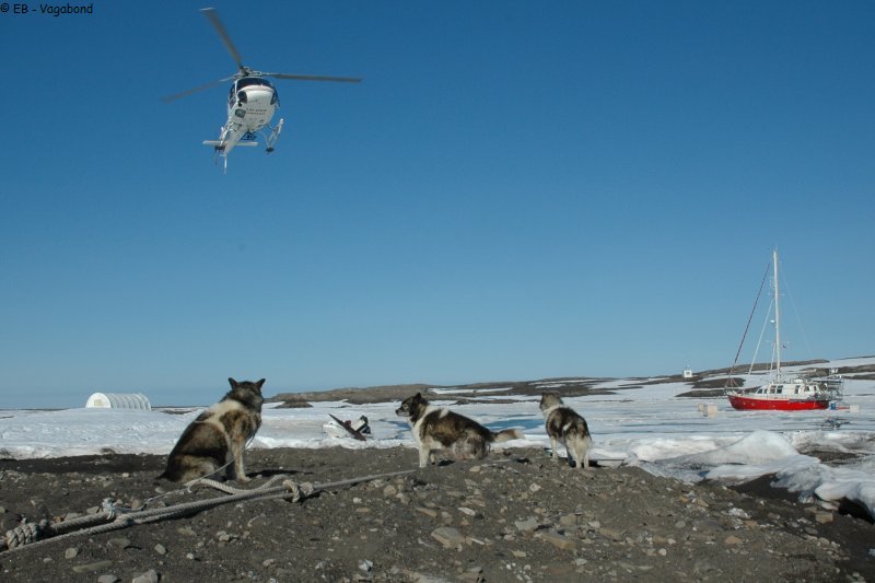 464bis Arrivee equipe et depart chiens