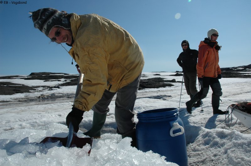 464ter Piem collecte glace